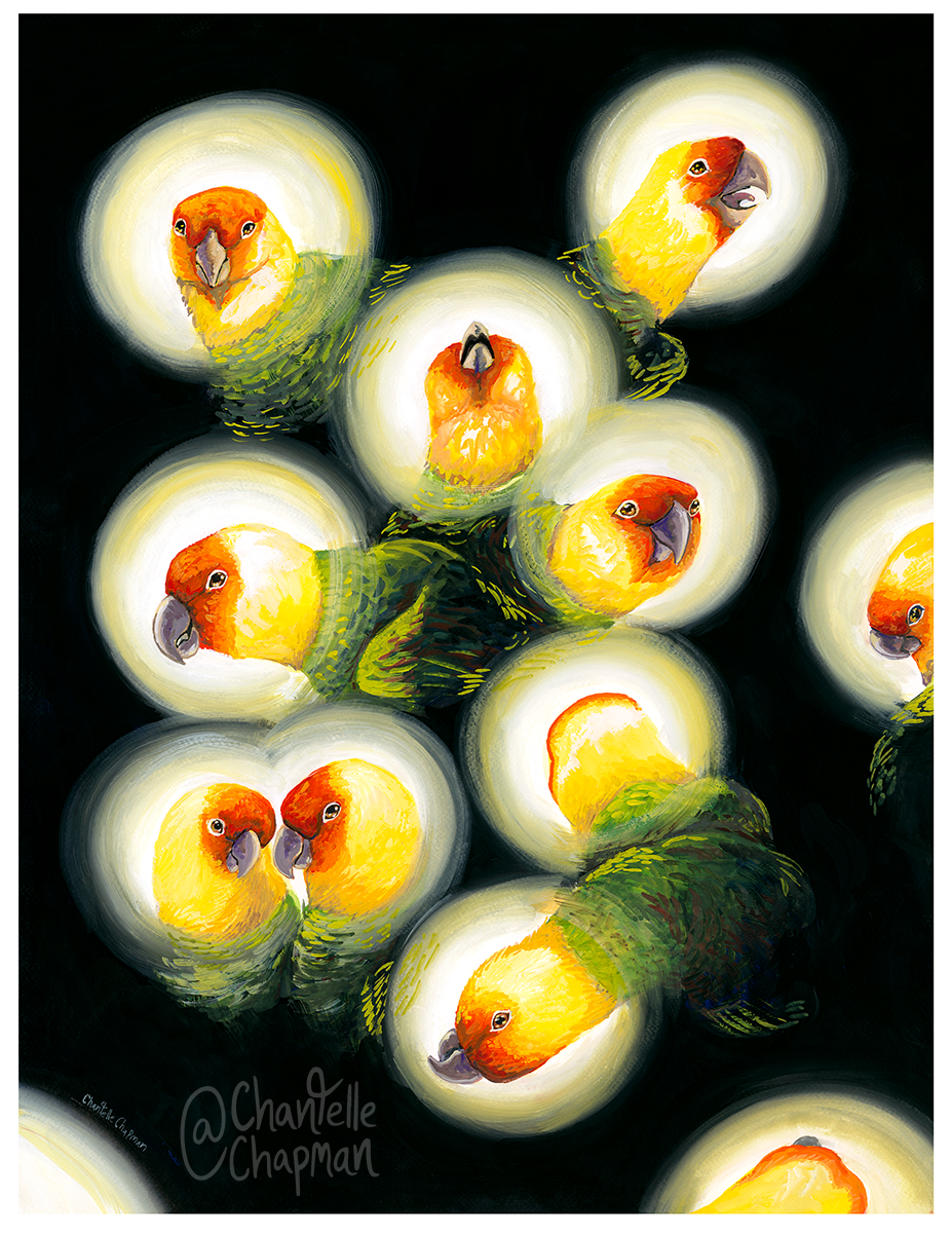 American Tannenbaum by Chantelle Chapman